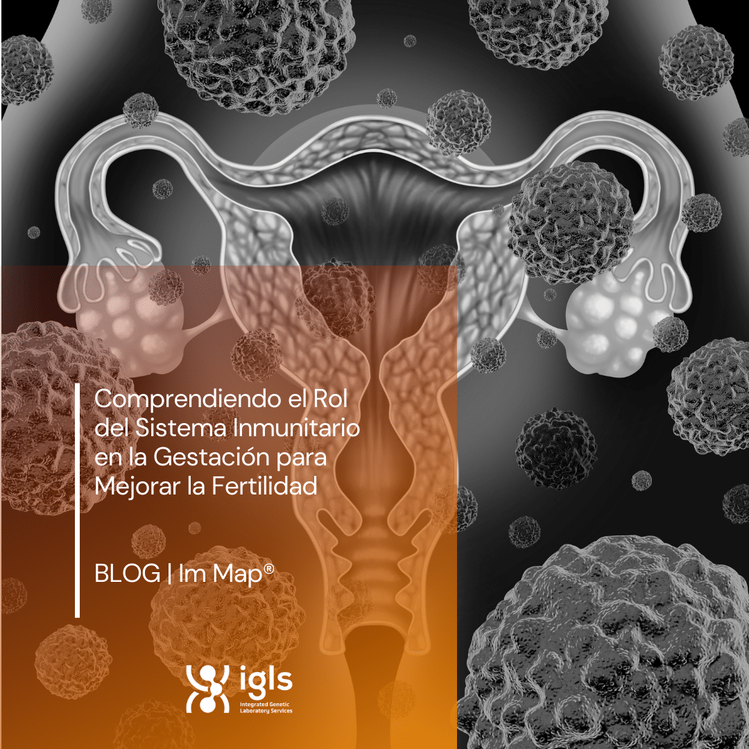 Im Map®_Comprendiendo el Rol del Sistema Inmunitario en la Gestación para Mejorar la Fertilidad_IGLS Nuestro artículo más reciente arroja luz sobre cómo el SI interactúa de manera directa e indirecta con el endometrio y el embrión, desempeñando un papel esencial y complejo en la reproducción asistida. Comprender estos mecanismos inmunológicos no solo es fascinante, sino también clave para incrementar las posibilidades de un embarazo exitoso.